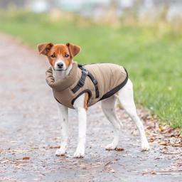Trixie Vinterjacka till hunden Design Pirou Sand